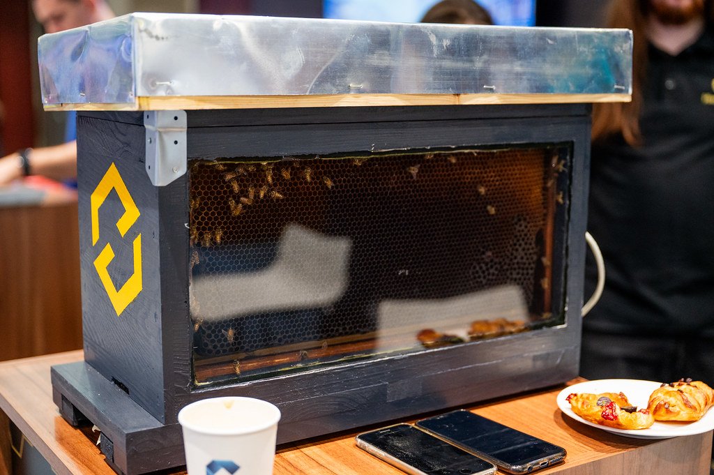 HiveBits tweet media