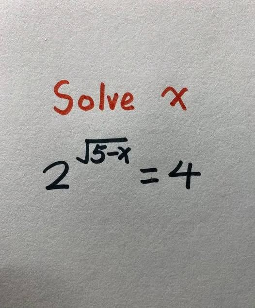 Code Geek tweet media