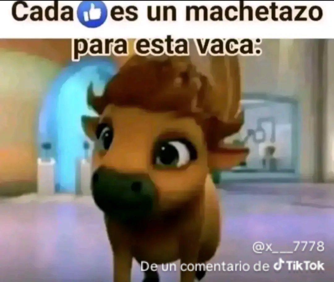 ✩ Mikö ✩✪ MIKOPELUCHE tweet media