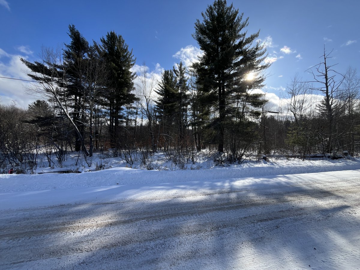 NYOutdoorRealty's tweet photo. 5.5 acre NY Northern Tier Camp Lot in Russell NY
 https://t.co/bcrtU66jgb https://t.co/OU1ErpF56c