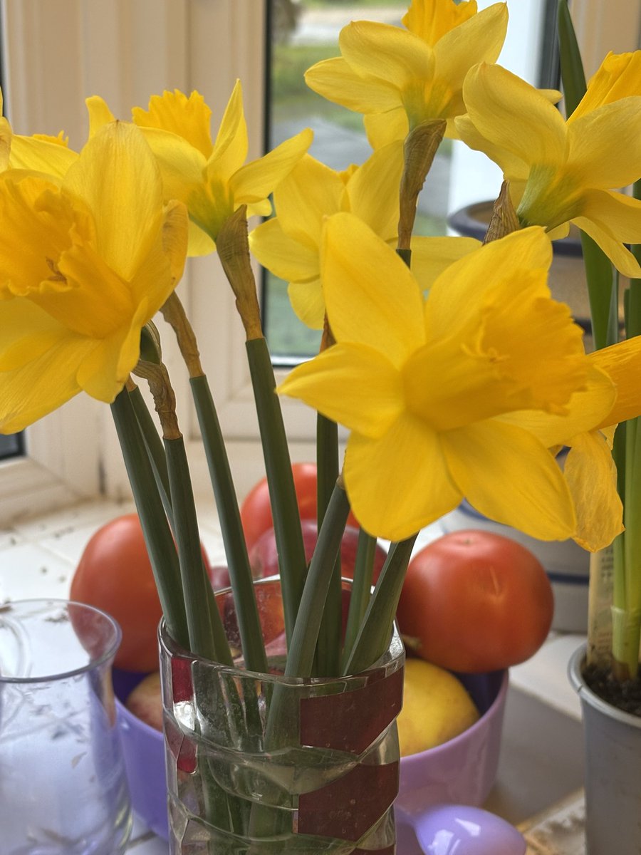 Market brought. But it’s given me
Some gardening motivation