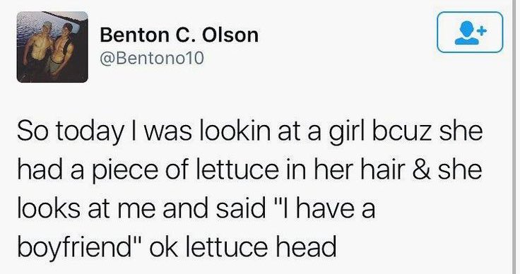 I just spent way too long Googling “what is the famous ok lettuce tweet” and Google kept telling me it’s all about Liz Truss and the lettuce but it wasn’t and finally I’ve found it and it’s made me laugh harder than I should