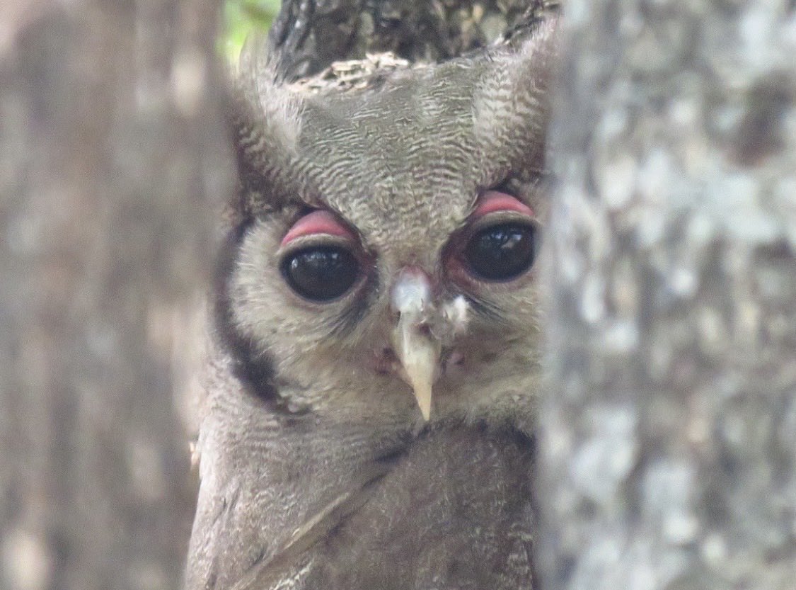 Anokhe ungifakise isandla🥺