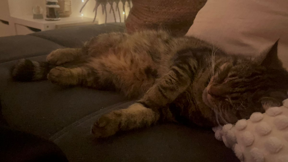 avdullah tweet media