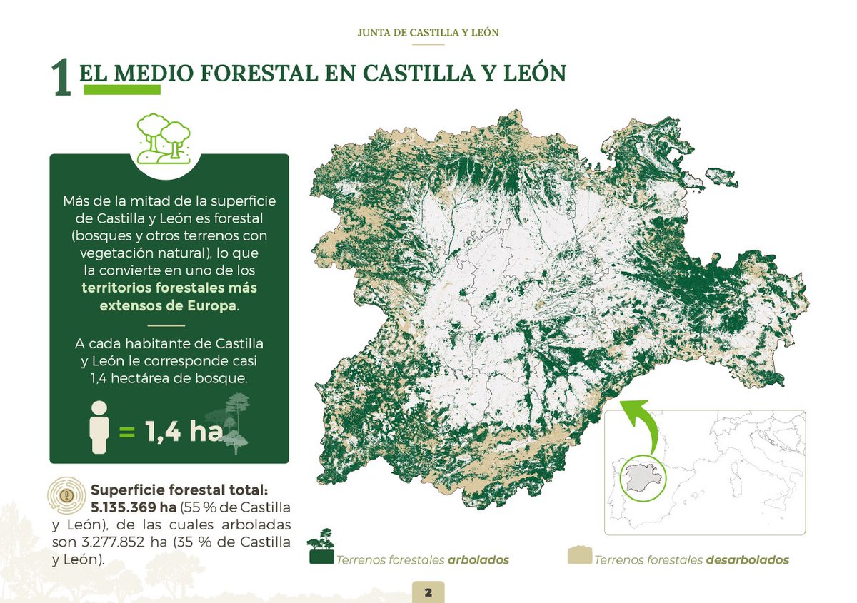 naturalezacyl's tweet photo. Castilla y León #CyL es una de las regiones forestales más extensas de Europa
El 55 % del territorio es forestal y el 35 % de la región está cubierta por bosques.
Por cada habitante de #CyL hay casi 1,4 hectáreas de bosque #NextGenerationEU https://t.co/qEgZTqkUpk