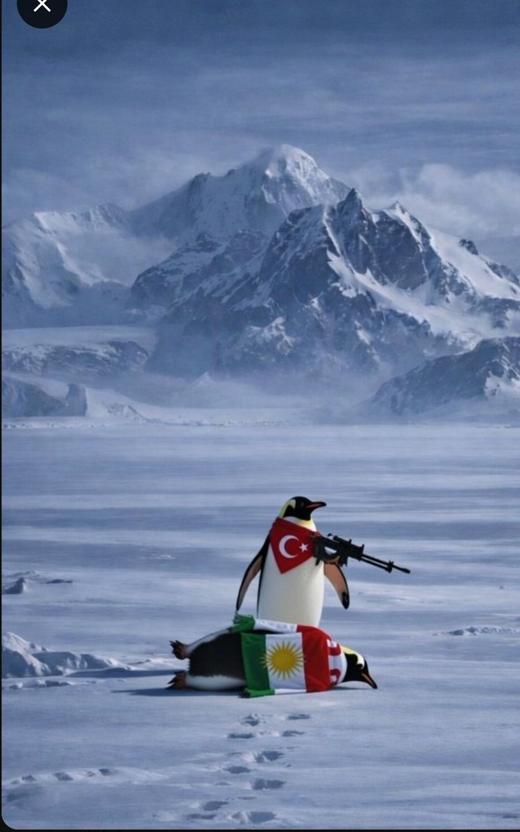 Öleceği varmış ölmüş 😏