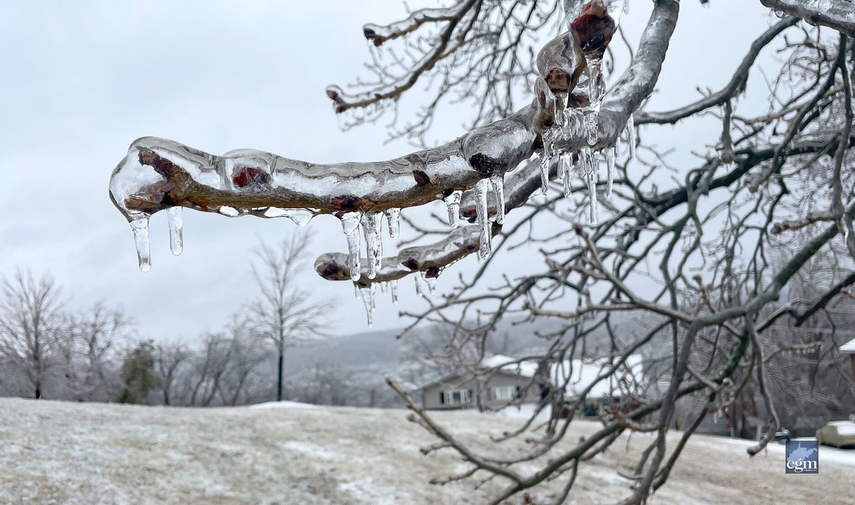 Charleston Gazette-Mail tweet media