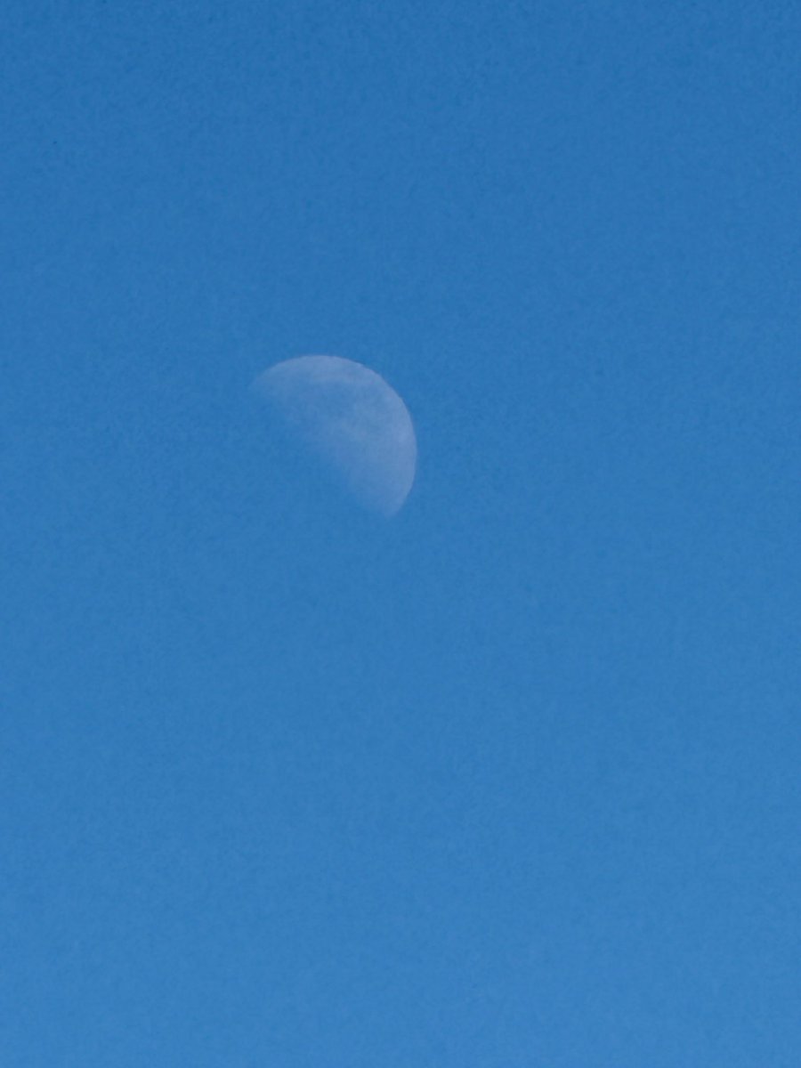 GLG2Truth's tweet image. Florida 01/26/26, 1:00 pm. Moon is out