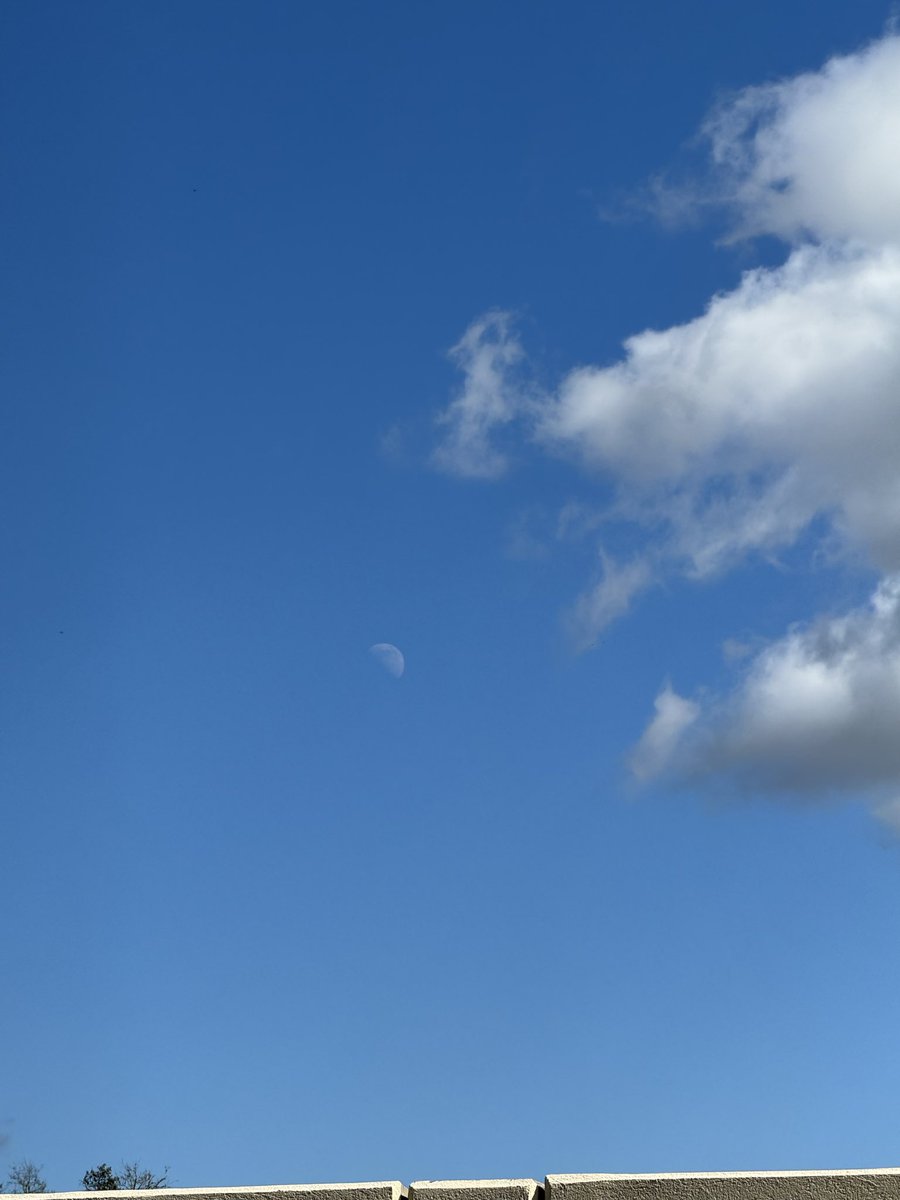 GLG2Truth's tweet image. Florida 01/26/26, 1:00 pm. Moon is out