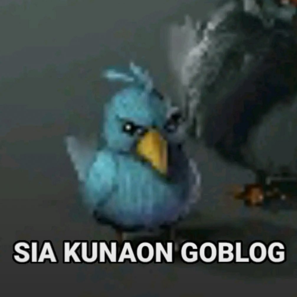 notC anything tweet media