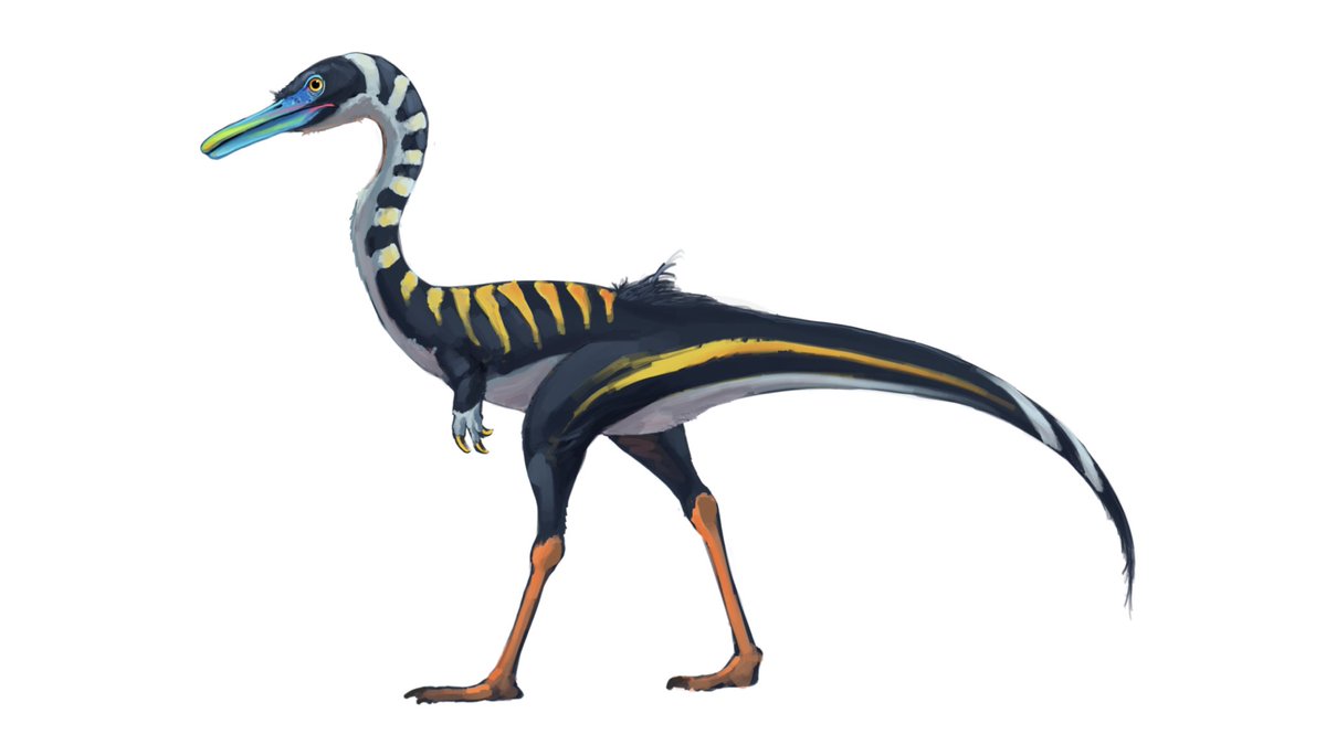 Bull.Falcon (@FalconBull) / Posts / X