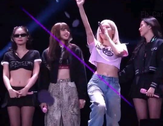 "Thank you for the past ten f**king years!”

— ROSÉ to the crowd at BLACKPINK’s last ‘DEADLINE’ show