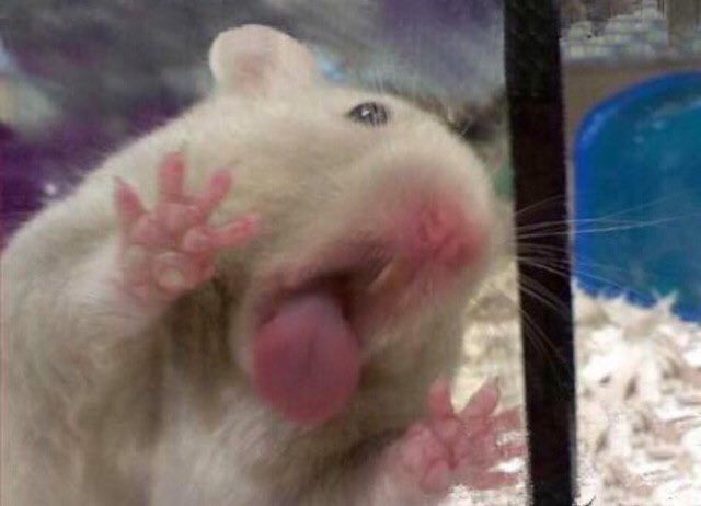 히히 (@hihi______6) on Twitter photo 