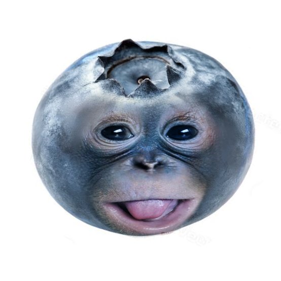 primateluvr's tweet photo. What would you do if you started coughing and this flew out? https://t.co/7p1MPXa5tw