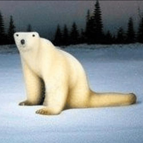 ctopolarbear's tweet photo. @JR5_Crypto no need for ticker, its him from 2023 https://t.co/6FqSMMhcQl