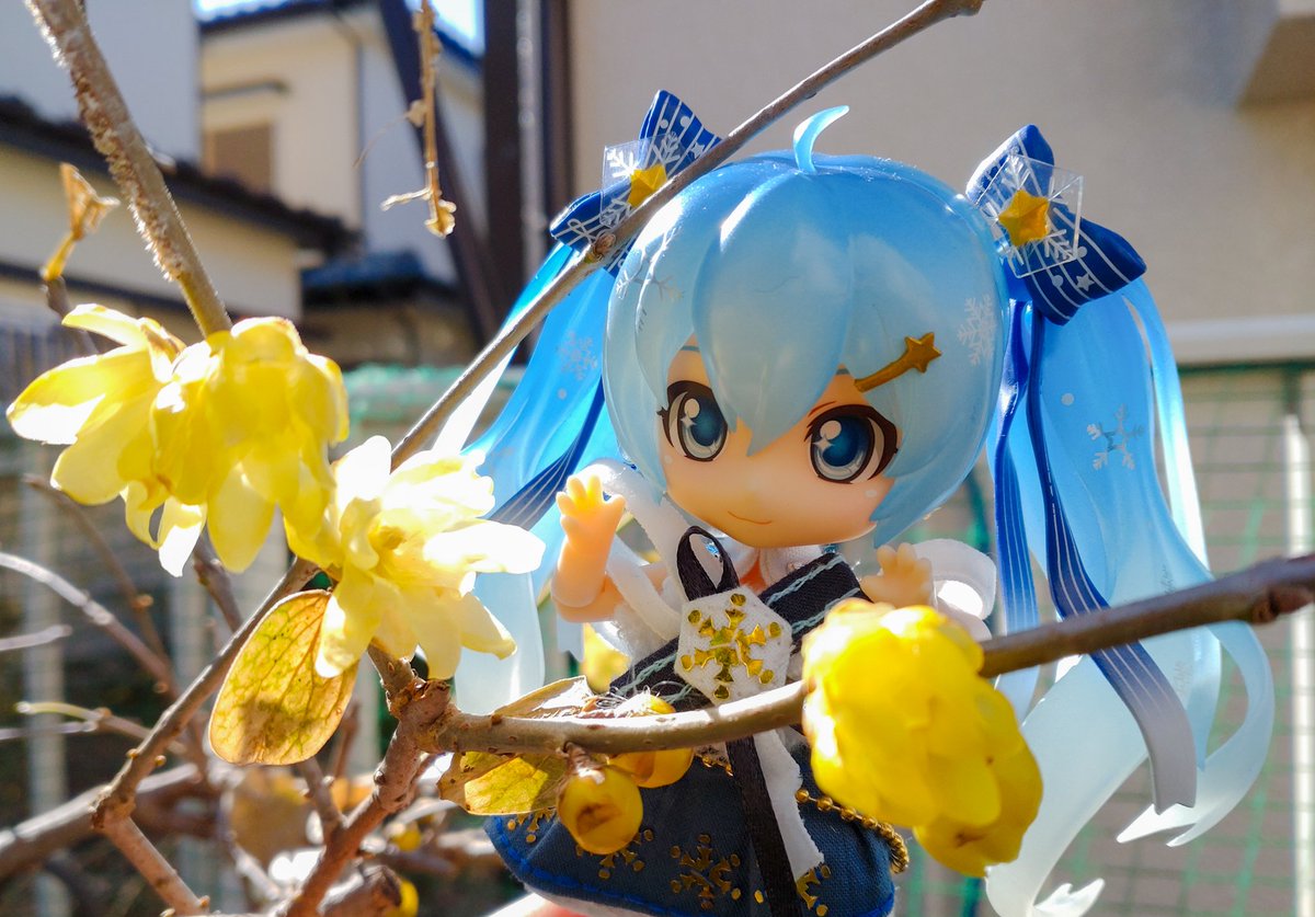 深夜のねんどろ撮影60分一本勝負 【1/26のお題 ふゆのはな】【遅刻