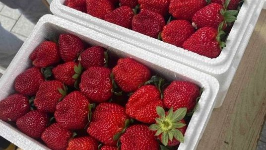 Good Morning 

What is this called in your language?