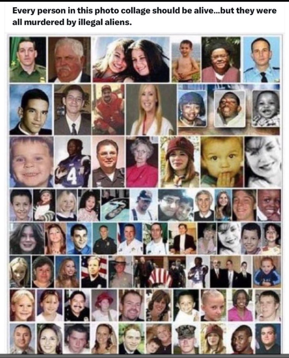 Stephen Bailey tweet media