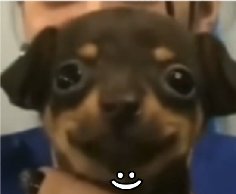 O6ios's tweet image. amo quando dizem que eu sou legal eu fico si sentindo assim