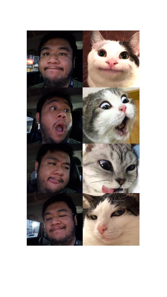 RundelCode's tweet image. Balloons!! And Cars!!