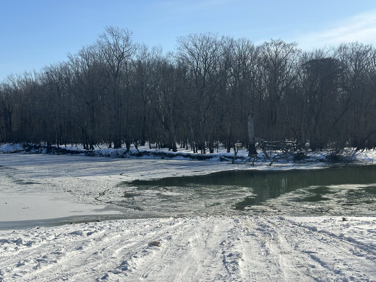 Jas❄️n Hampt❄️n tweet media