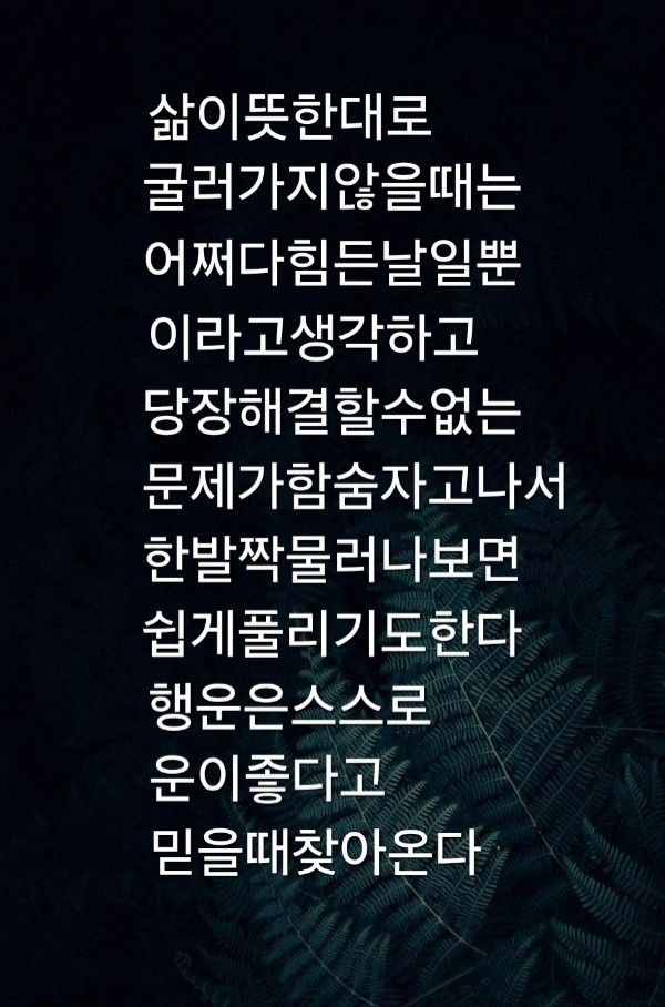 별이 내 가슴에 tweet media