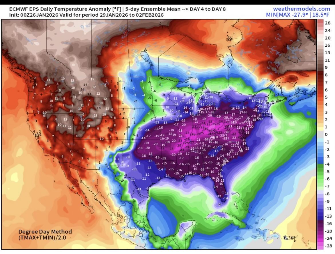 Buscant Neu tweet media