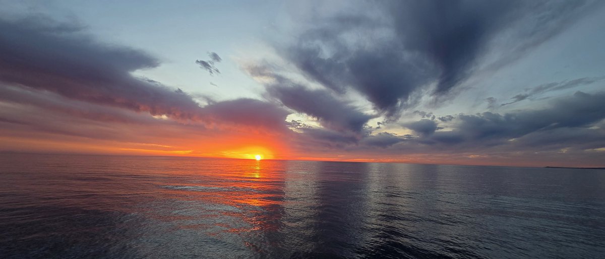 Shannon F tweet media