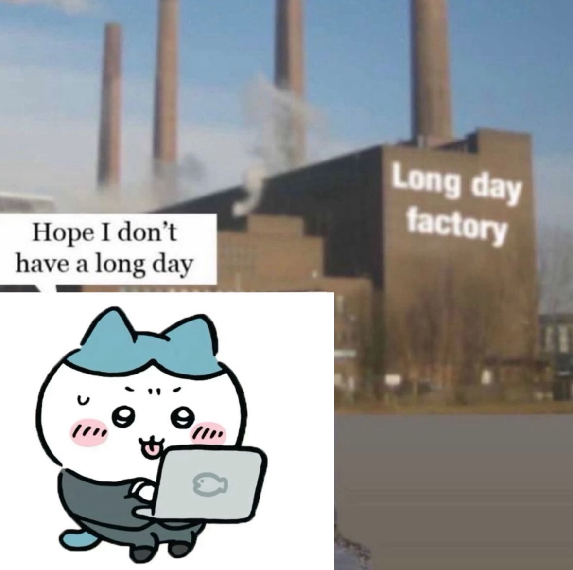 good morning free me