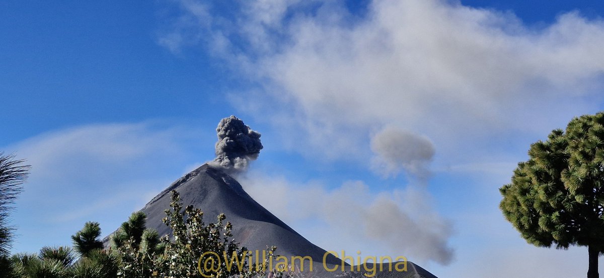 William Chigna tweet media