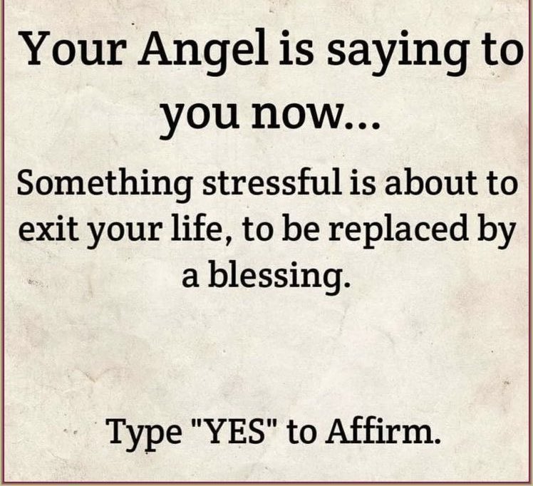 Blossoms🌻 tweet media