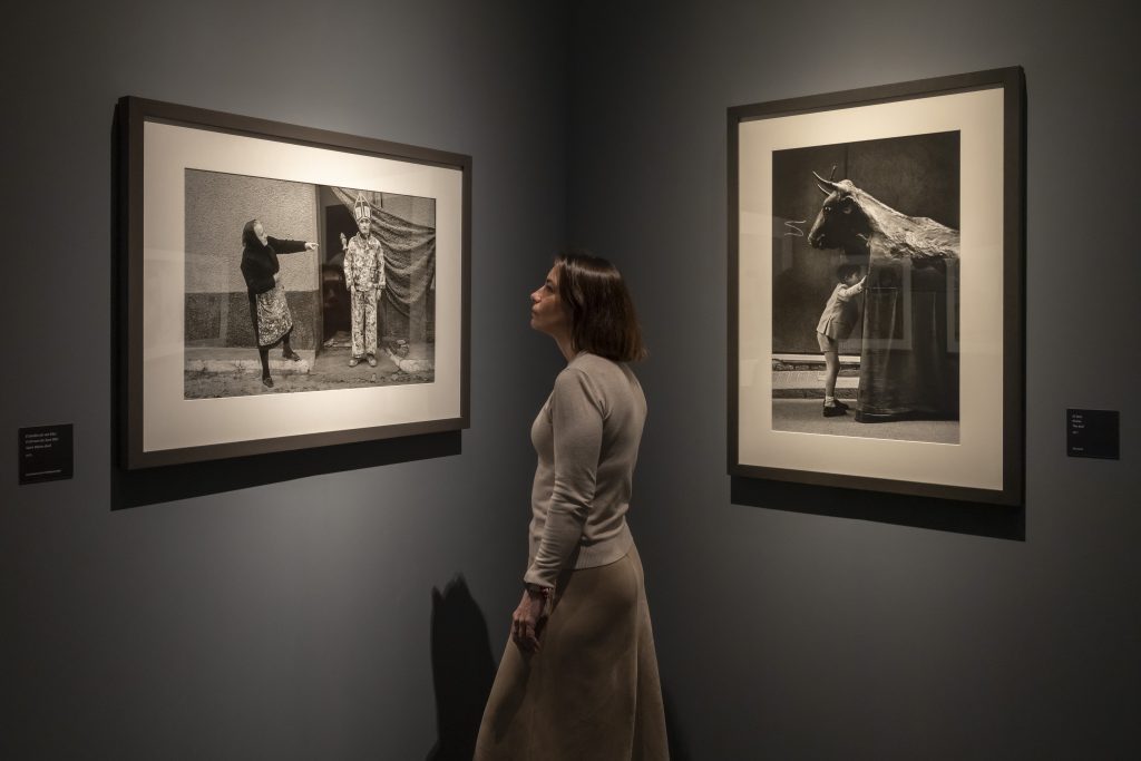 plataforma_PAC tweet media