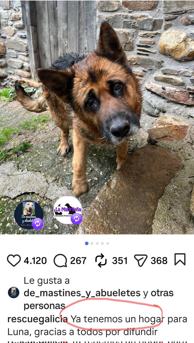 🥳🥳🥳🥳
Notición 
Ya hay un
♥️♥️♥️HOGAR♥️♥️♥️🕺
para LUNA 🥹

Mil gracias a todas por difundir 🫂🥹

x.com/i/status/20155…