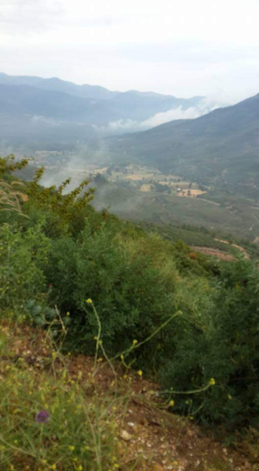 "Mü'min, yeşil ekine benzer.
Rüzgârla eğilir fakat yıkılmaz. 
Rüzgâr sakinleştiğinde yine doğrulur. İşte mü'min de böyledir; 
o da belâ ve musibetler sebebiyle eğilir  fakat yıkılmaz. "
Buhârî, Tevhid,31