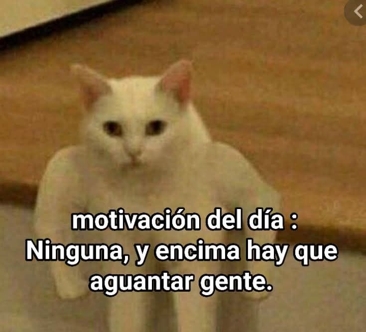 En Júpiter (@en_jupiter_) on Twitter photo 