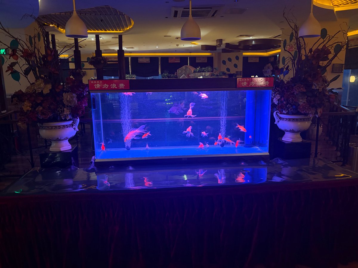 Connected to "2003".
Syncing...