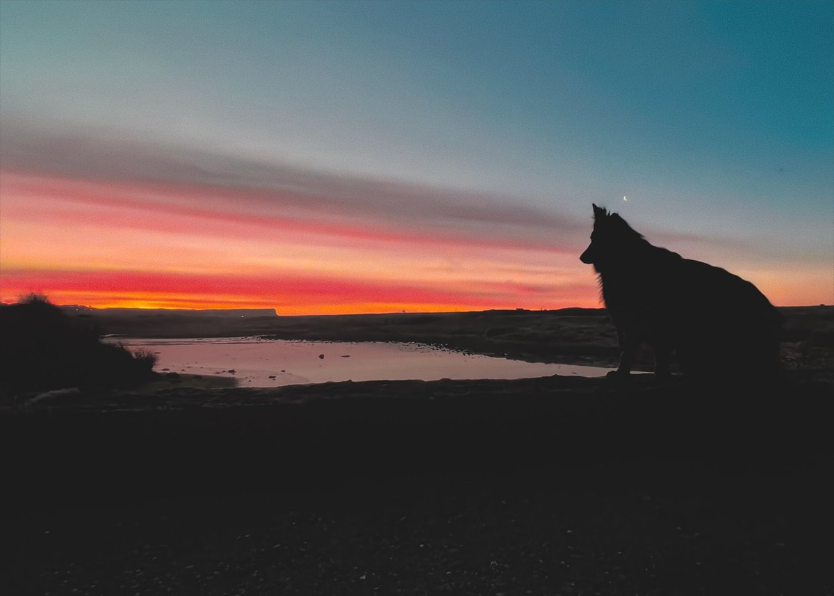 Smitho.graphics | AuDHD Fueled Designer tweet media