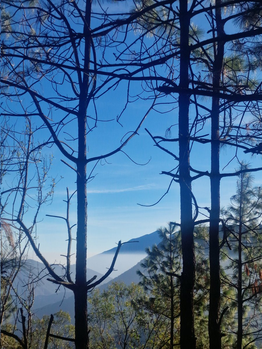 ¿Que hago crudo un lunes subiendo chipinque mientras saco adelante la empresa?