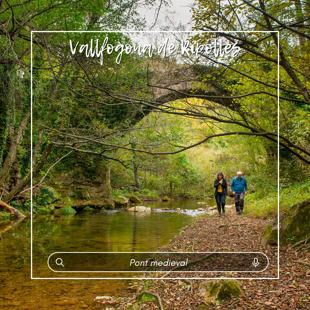 El Camí Oliba tweet media