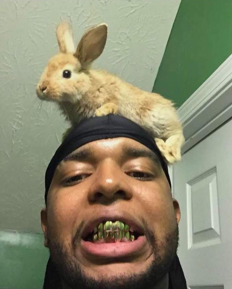 kissmyhedis tweet media