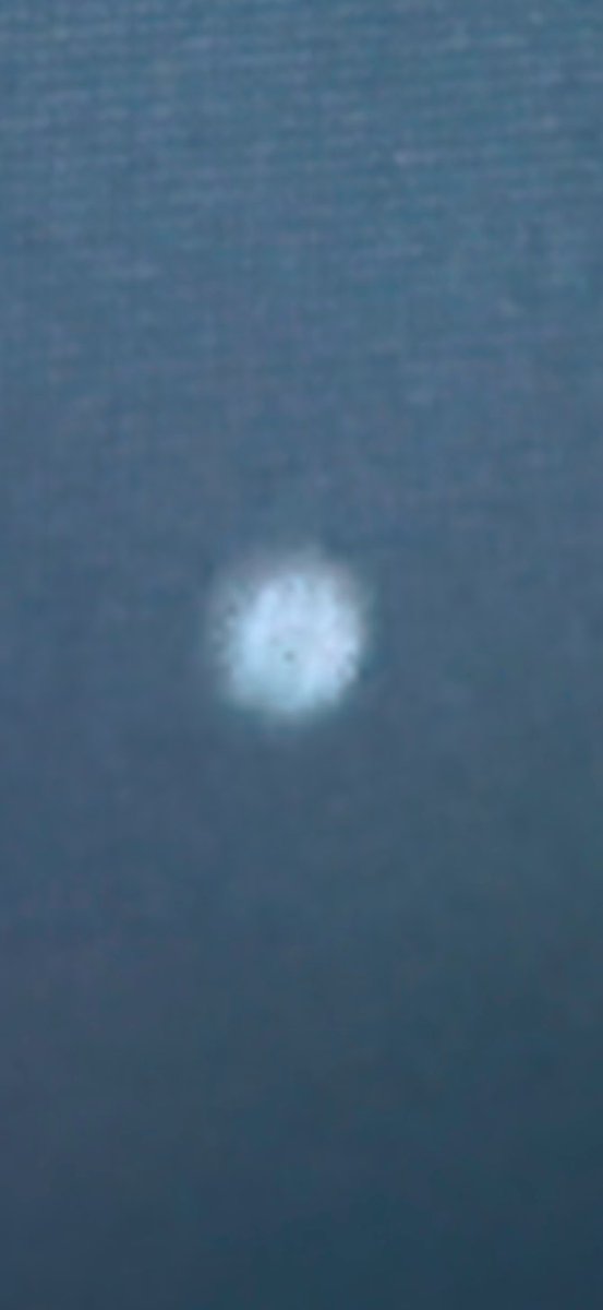 orbsbythought's tweet photo. 🚨 Do you see the 👁️? 

This was an orb that was caught in IR! 

I don’t use IR too much, enjoyed this one though.  

It flew just a few feet over my head, filmed. 

#angels #meditation #psionicasset 
#whyhasnttimtaylorvisitedmeyet https://t.co/NGhg4UaYKP