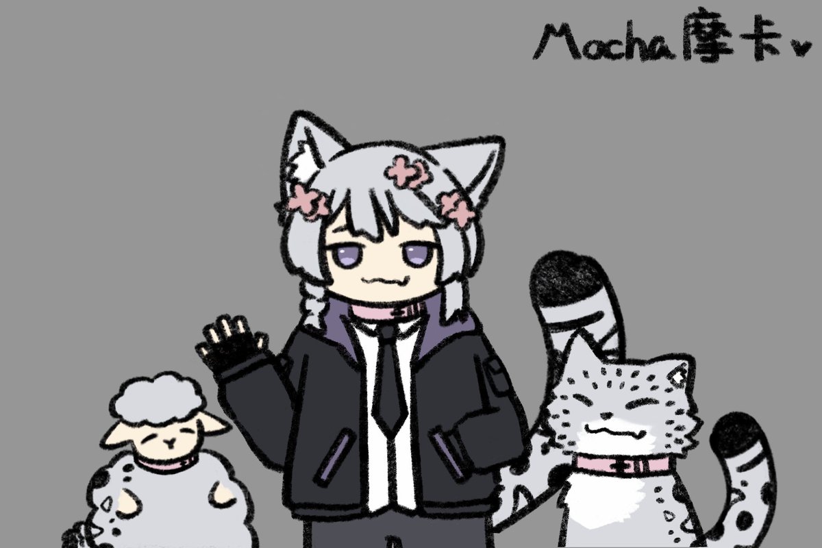 Mocha摩卡 tweet media