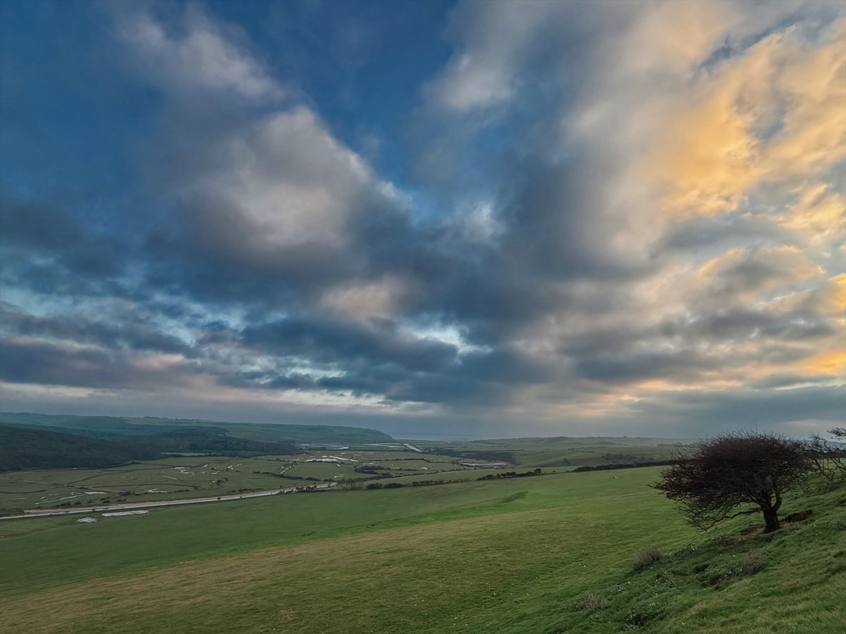 Smitho.graphics | AuDHD Fueled Designer tweet media