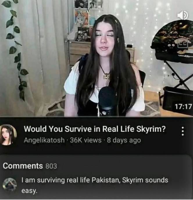 Braindead Bird App (@tragicbirdapp) on Twitter photo 