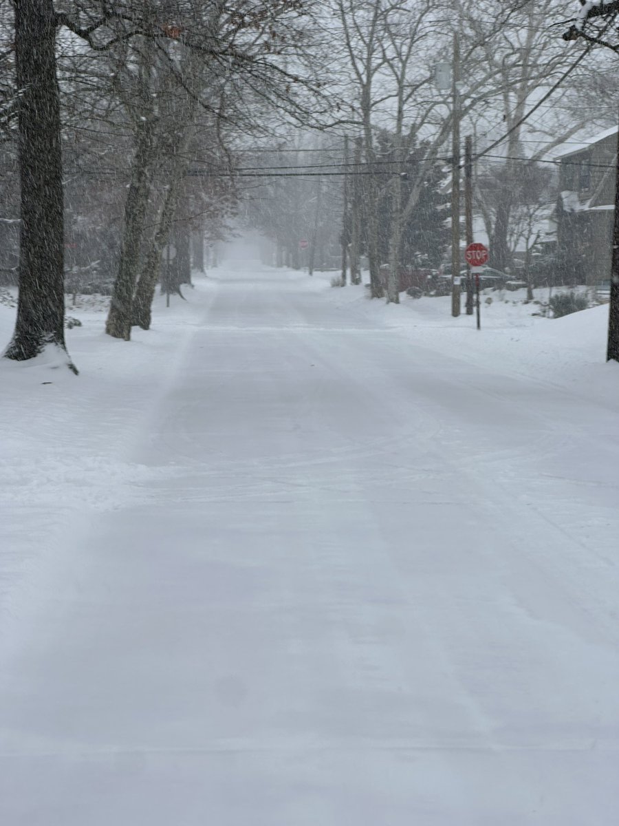 Brad Campbell tweet media