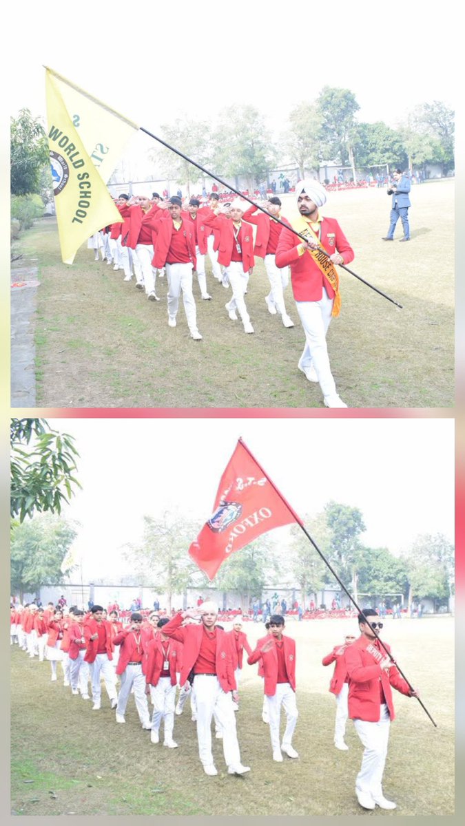 S.T.S. World School (Official) tweet media