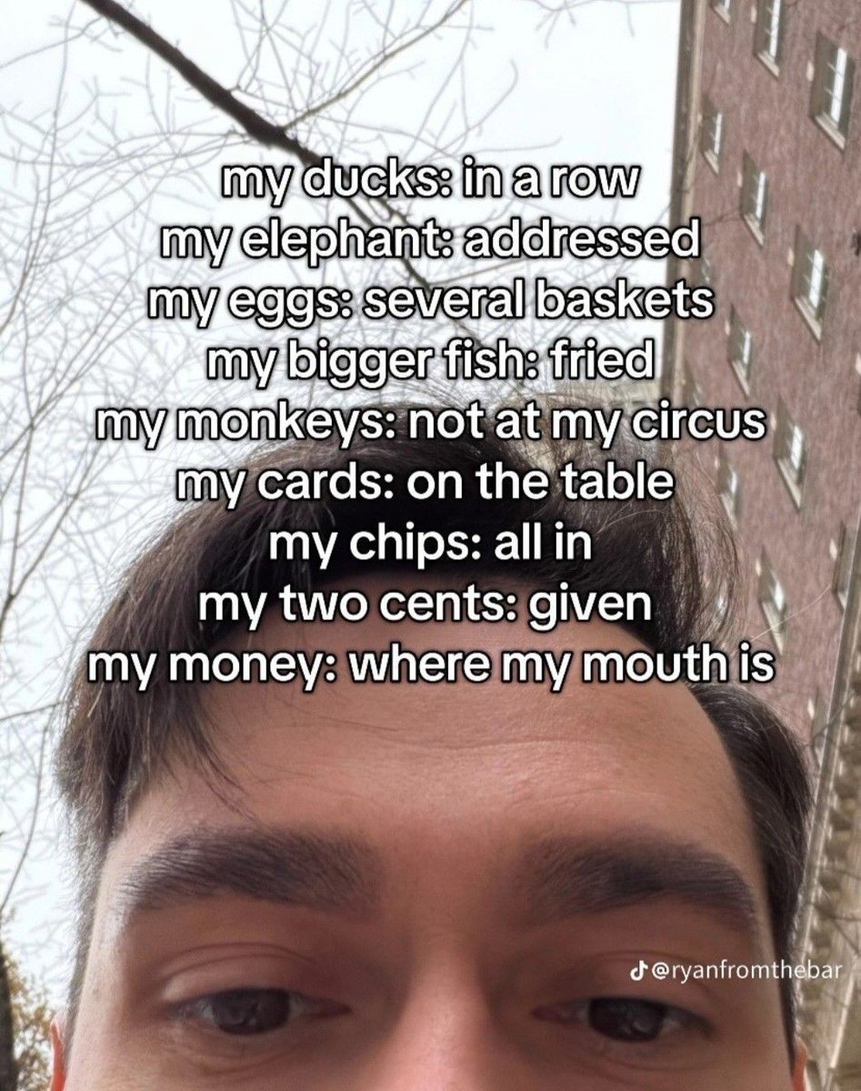 equine__dentist's tweet image. plans for today: