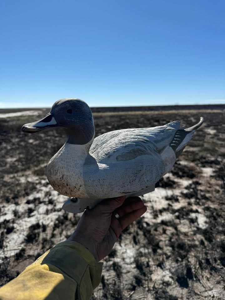 USFWS Fire (Archived) tweet media