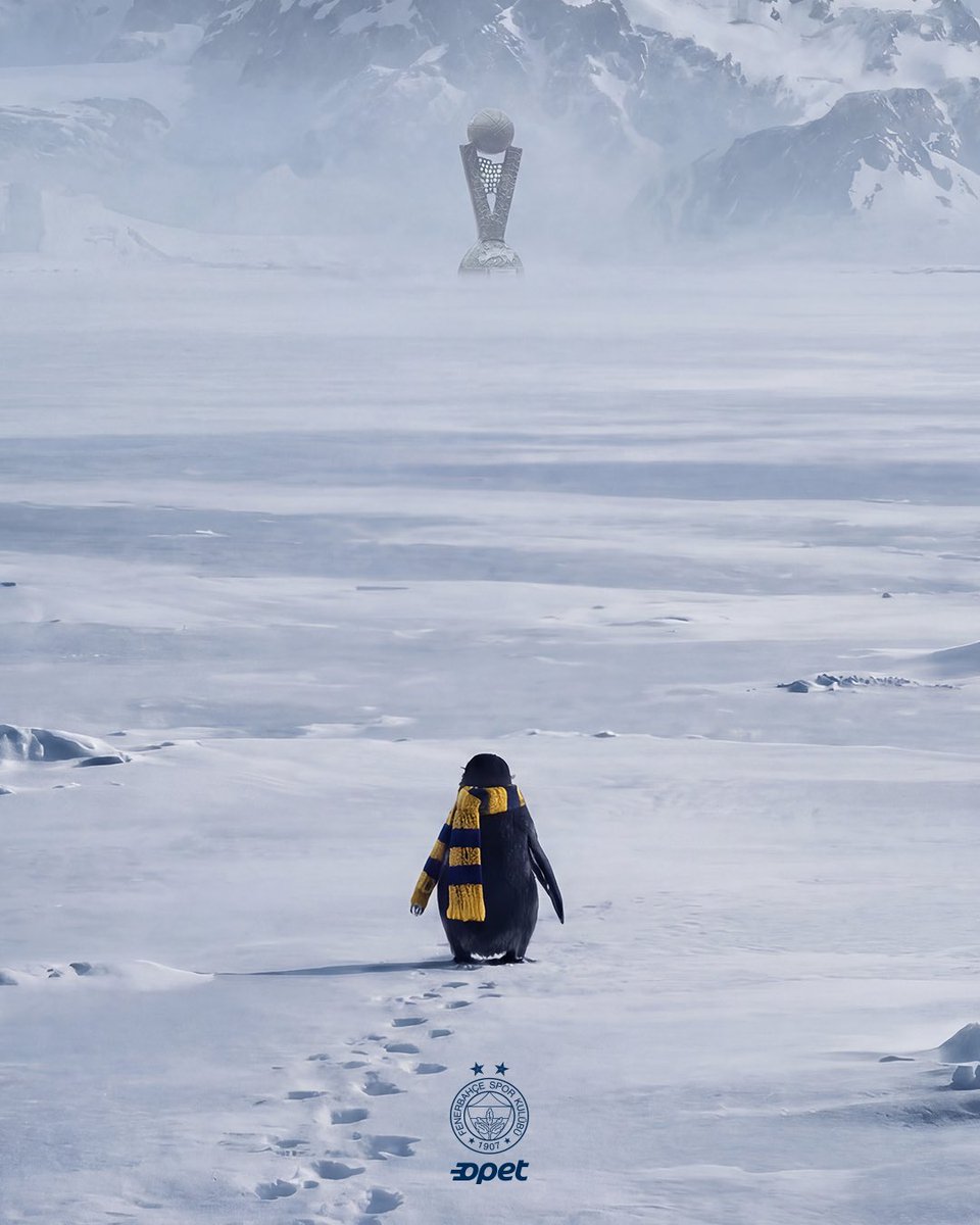 But why? We know why... 💛💙

#PotanınKraliçeleri
#EuroLeagueWomen