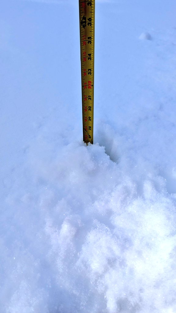 Mrs Morgado tweet media